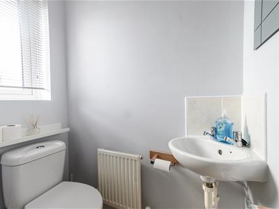 Picture 15